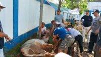 IMG-20260528-WA0017